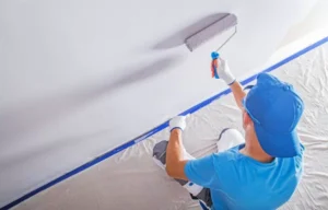 صباغ حولي - 60624830